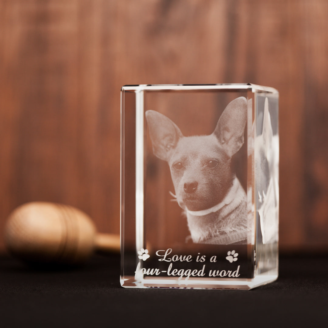 Pet 3D Photo Gift-Incrystals