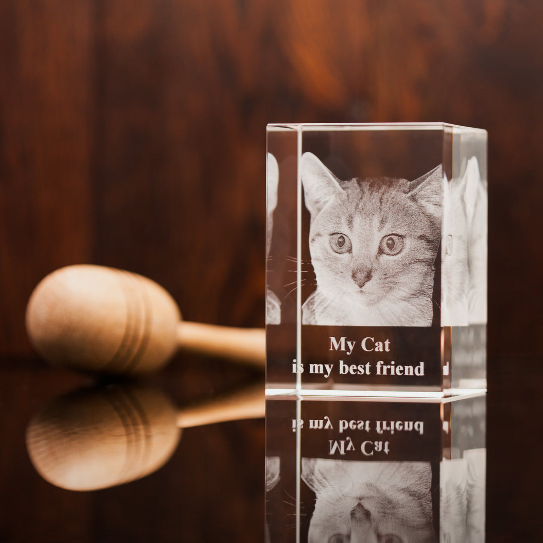 3D Pet Photo Crystal - Large