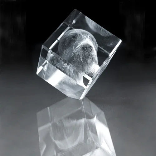 3D Converted Diamond Crystal - Pet-Incrystals