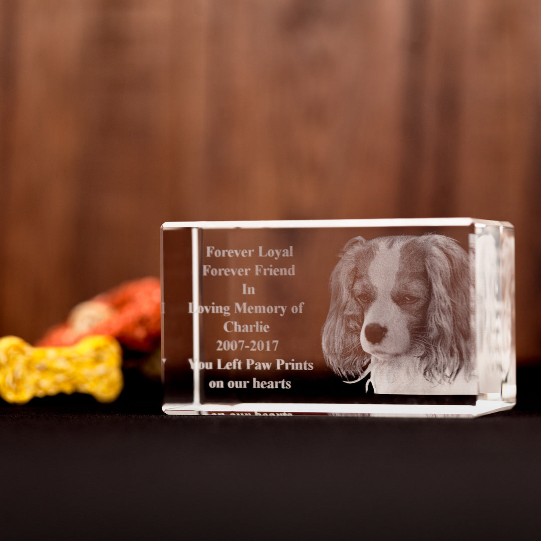 Pet Photo in Crystal 3D-Incrystals