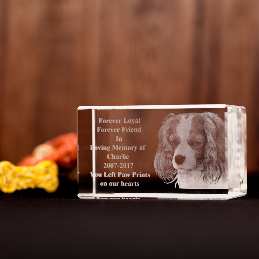 Pet Photo in Crystal 3D-Incrystals