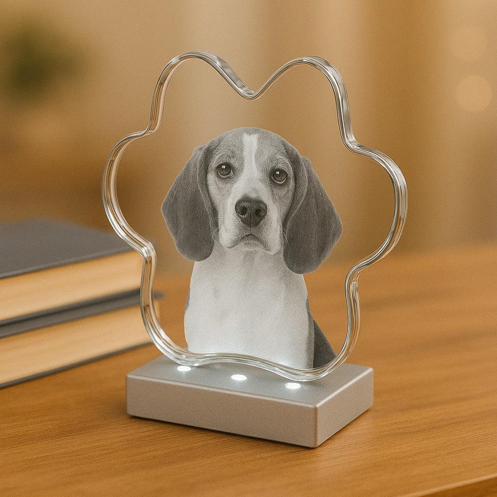 Crystal Frames - Incrystals