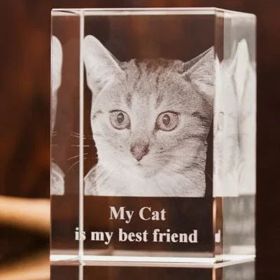 Pet Photo crystal in 3D 