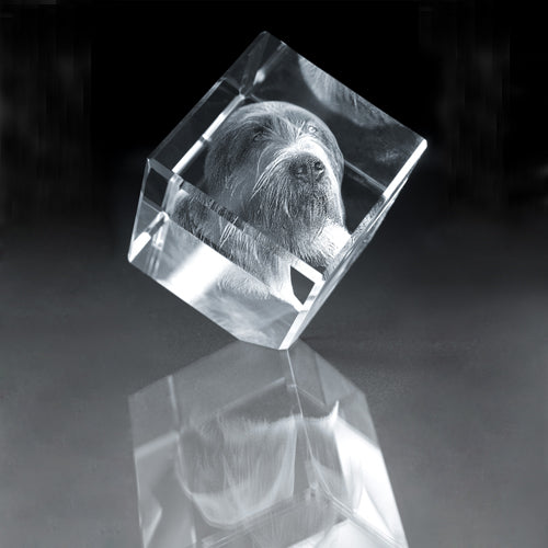 3D Converted Diamond Crystal - Pet