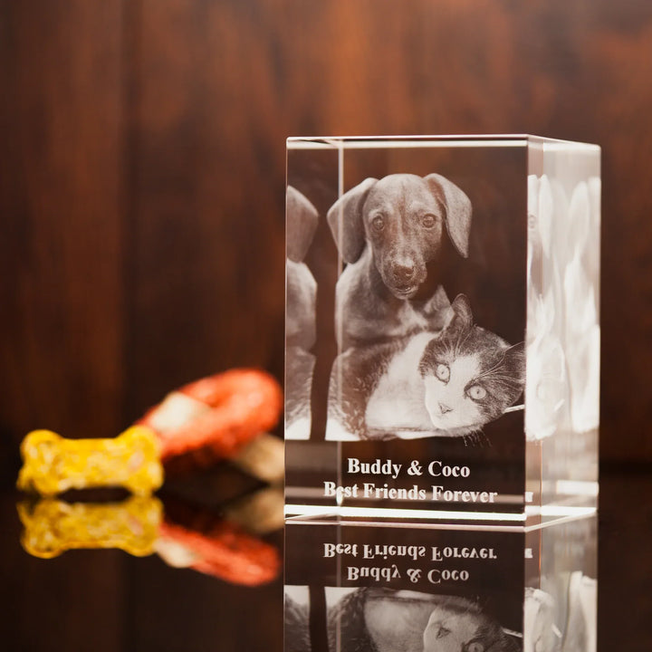 Personalised pet photo crystal gift laser engraved in Britain with clear detail - Incrystals