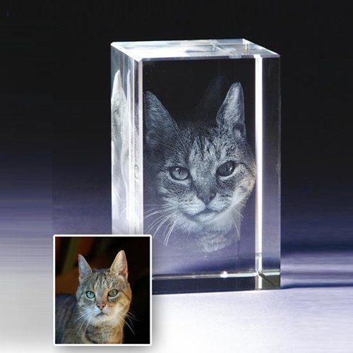 3D Converted Crystal - Pet